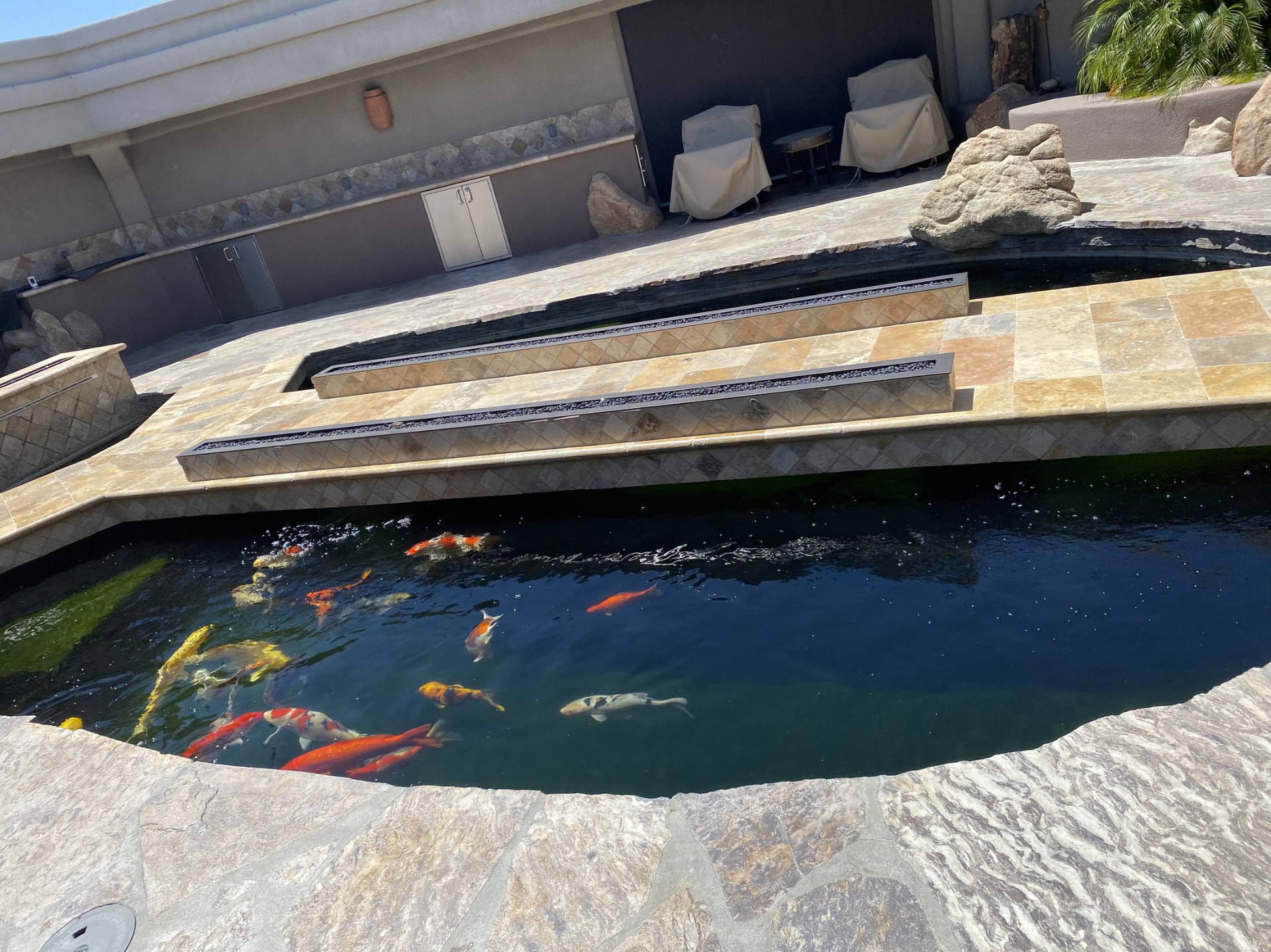 Colorful koi swimming beneath the travertine bridge